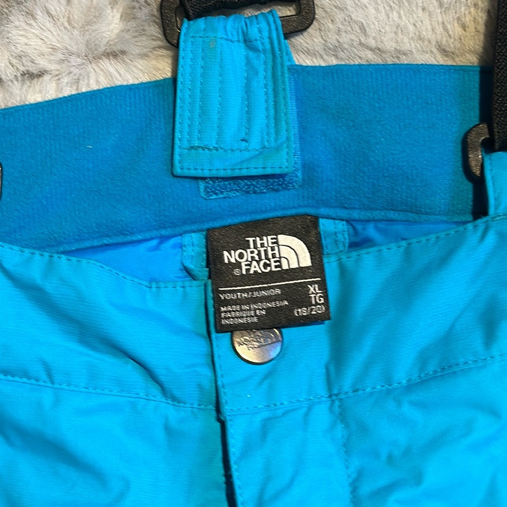 Kids Teal Snow Pants from The North Face EUC